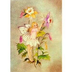 Columbine Fairy 5 x 7