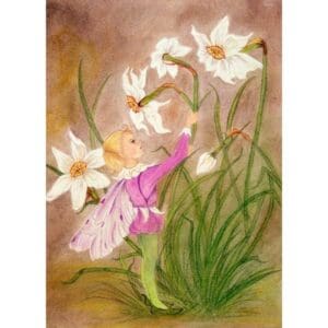 Narcissus Fairy 5 x 7