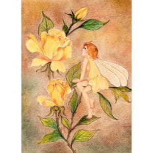 Yellow Rose Fairy 5 x 7