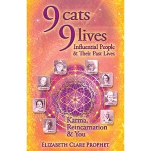9 Cats 9 Lives