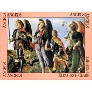 Angels booklet (6.5" x 9")
