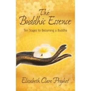 Buddhic Essence, The--Ten Stages to Becoming a Buddha