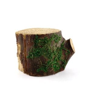 Decorative Mossy Tree Stump for Fairy Garden 4"
