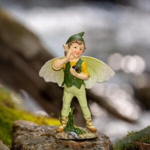 Fairy Boy, Green