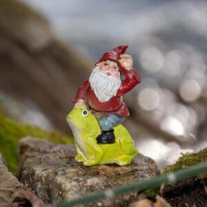 Gnome on a Frog