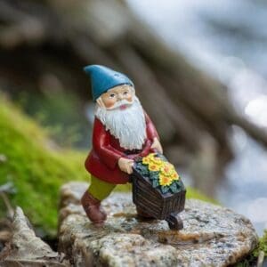 Gnome Wheel Barrel
