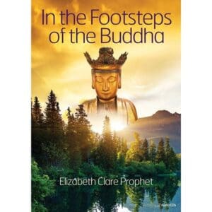 In the Footsteps of the Buddha