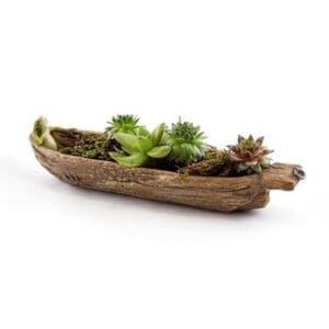 Lazy Frog Enjoying His Wood Canoe (Planter)