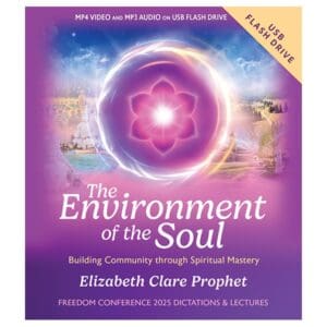 Environment of the Soul, The (July 2025 conference) FD