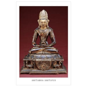 Amitabha (laminated) wallet card