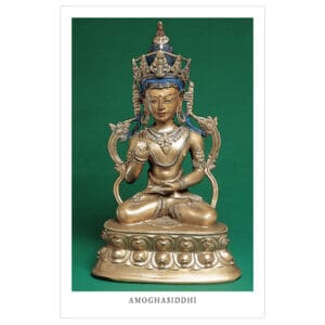 Amoghasiddhi (laminated) wallet card