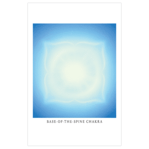 Base of the Spine Chakra Wallet Card (Laminated)
