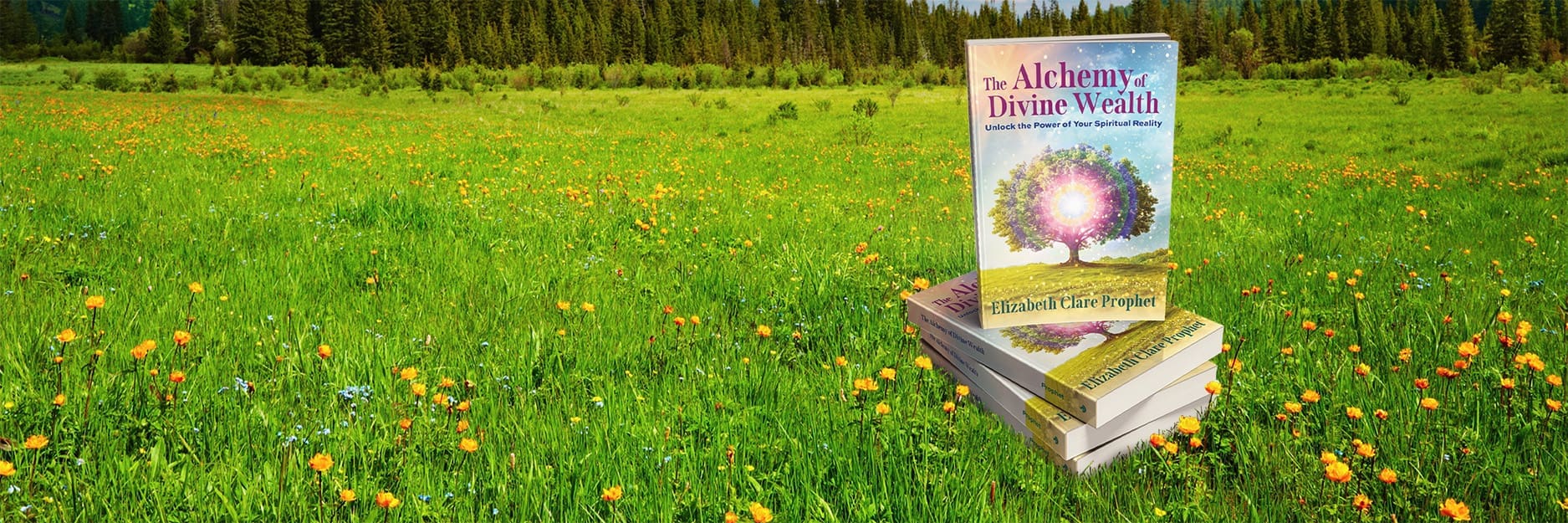 Create Your Abundant Life Today